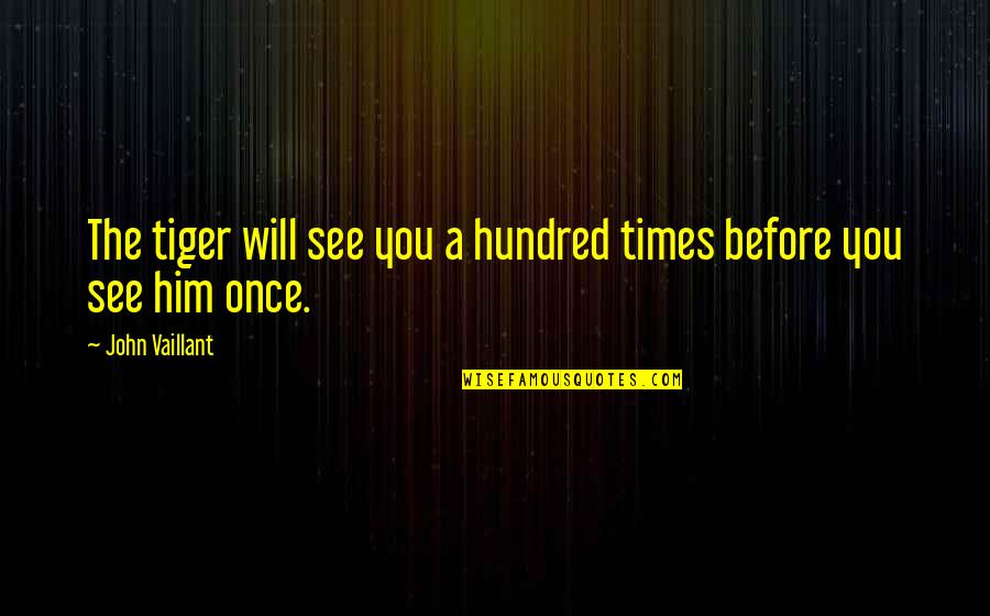 Let Me Free You Quotes By John Vaillant: The tiger will see you a hundred times
