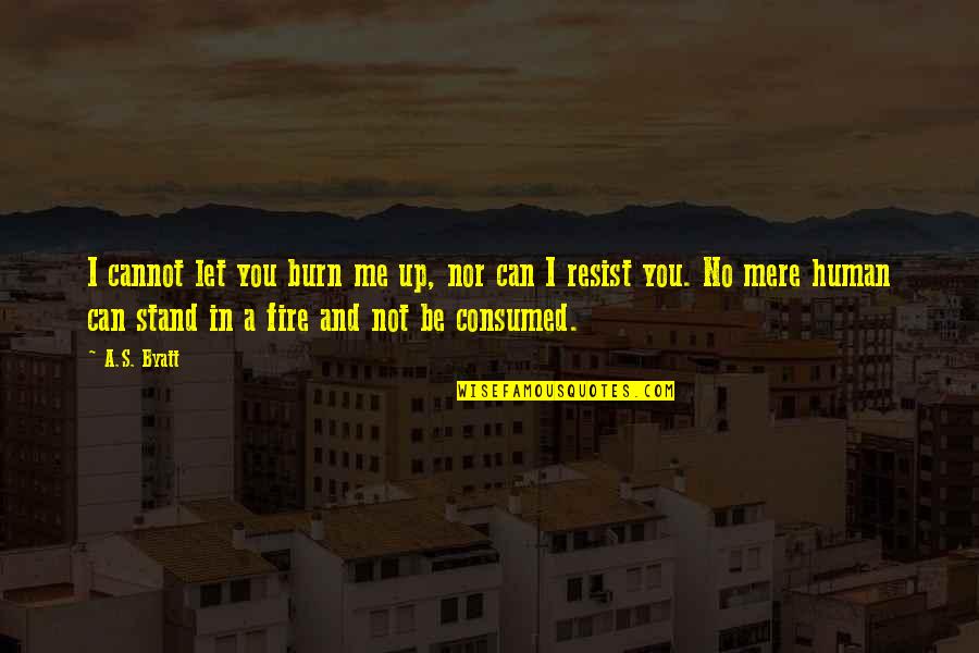 Let Me In Love Quotes By A.S. Byatt: I cannot let you burn me up, nor