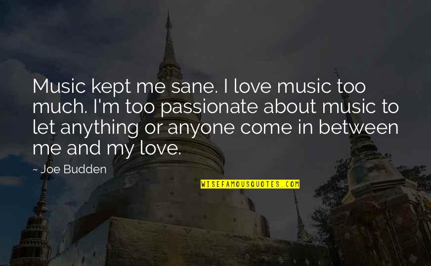 Let Me In Love Quotes By Joe Budden: Music kept me sane. I love music too