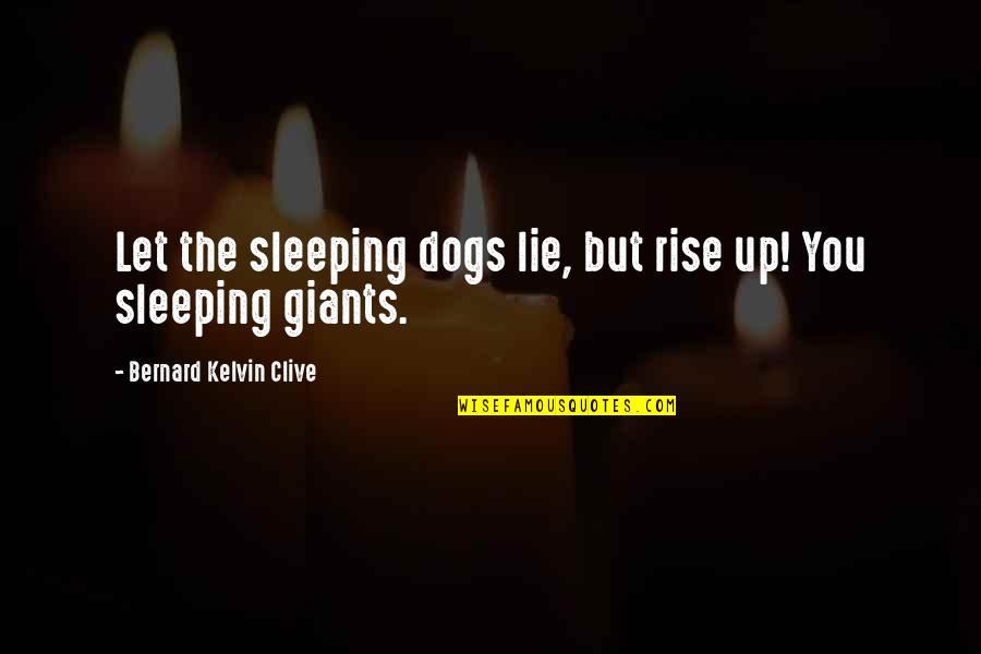 Let Sleeping Dogs Lie Quotes By Bernard Kelvin Clive: Let the sleeping dogs lie, but rise up!