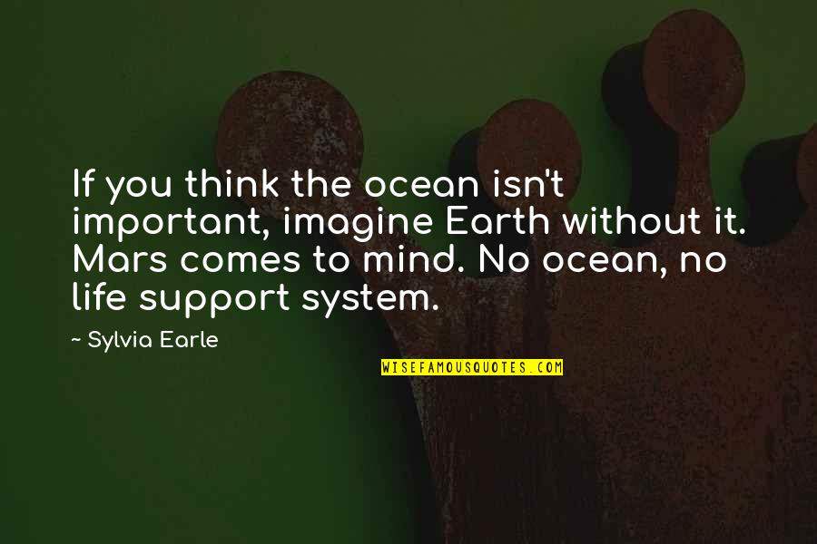 Let The Hurt Go Quotes By Sylvia Earle: If you think the ocean isn't important, imagine