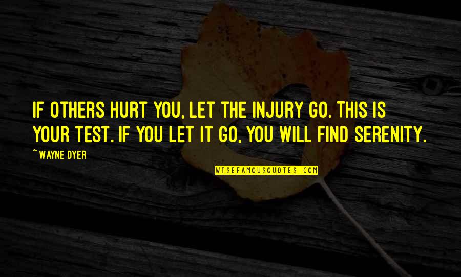 Let The Hurt Go Quotes By Wayne Dyer: If others hurt you, let the injury go.