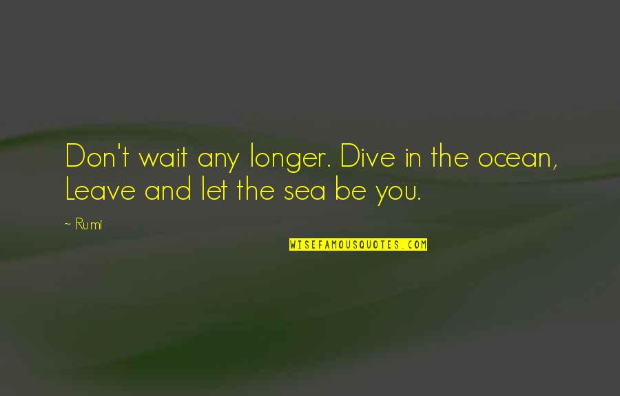 Let The Sea Quotes By Rumi: Don't wait any longer. Dive in the ocean,