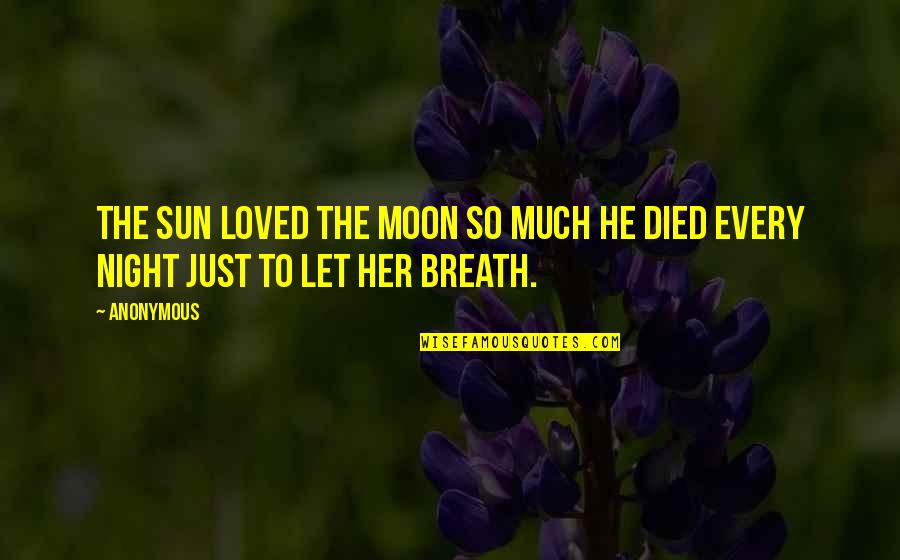 Let The Sun In Quotes By Anonymous: The Sun loved the Moon so much he