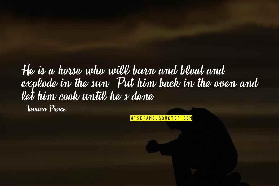 Let The Sun In Quotes By Tamora Pierce: He is a horse who will burn and