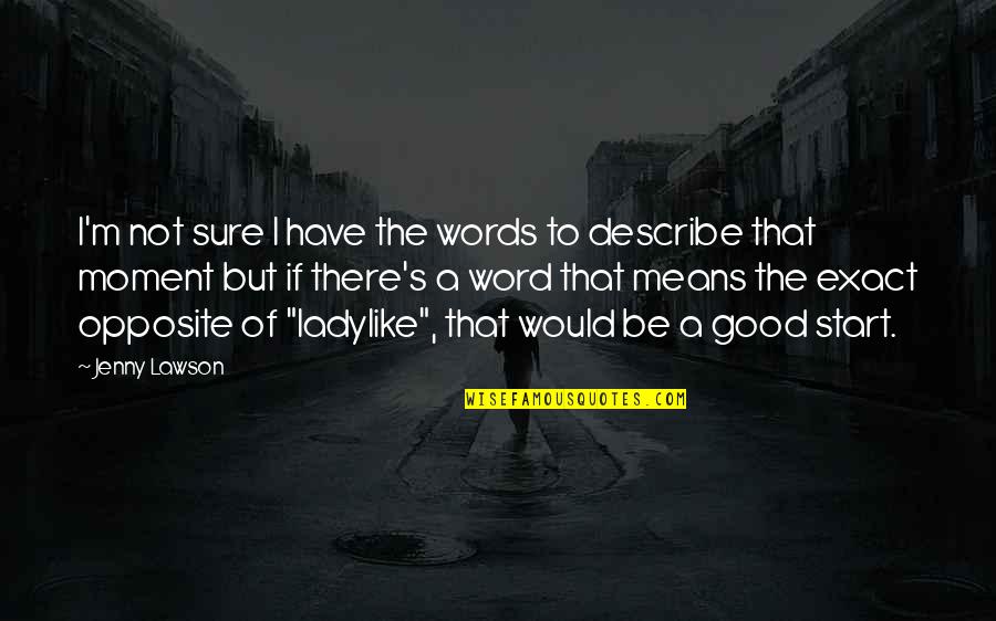 Let Things Come To You Quotes By Jenny Lawson: I'm not sure I have the words to