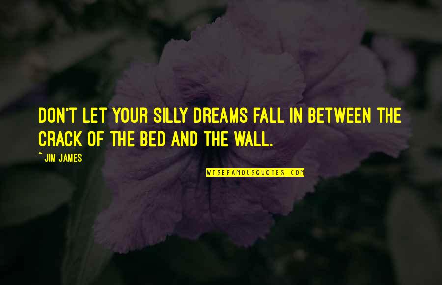 Let Us Dream Quotes By Jim James: Don't let your silly dreams fall in between