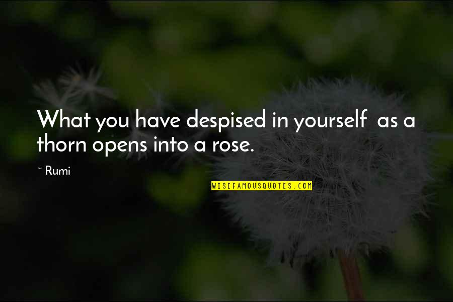 Let Us Not Demand Love Quotes By Rumi: What you have despised in yourself as a