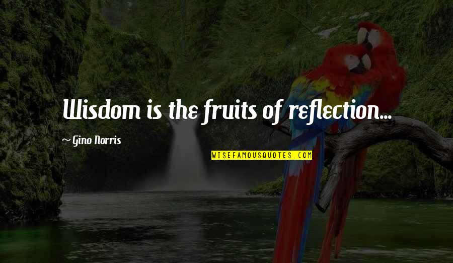Letranger Albert Quotes By Gino Norris: Wisdom is the fruits of reflection... Letranger Albert Quotes By Gino Norris: Wisdom is the fruits of reflection...