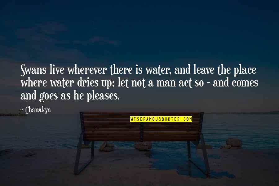 Letranger Raymond Quotes By Chanakya: Swans live wherever there is water, and leave Letranger Raymond Quotes By Chanakya: Swans live wherever there is water, and leave