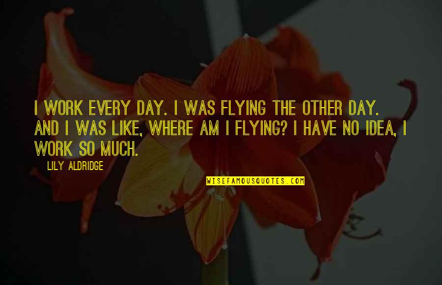 Letrec Quotes By Lily Aldridge: I work every day. I was flying the