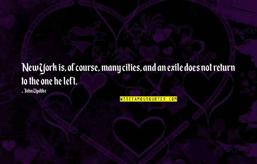 Letrinas Aboneras Quotes By John Updike: New York is, of course, many cities, and