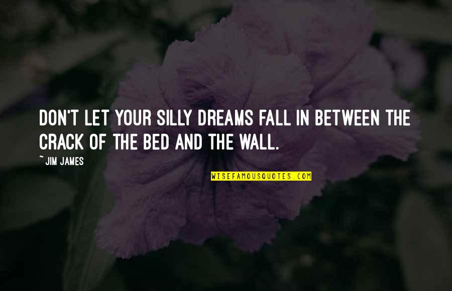 Let's Be Silly Quotes By Jim James: Don't let your silly dreams fall in between