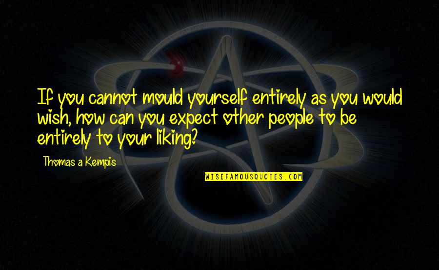 Lets Get Drunk Picture Quotes By Thomas A Kempis: If you cannot mould yourself entirely as you