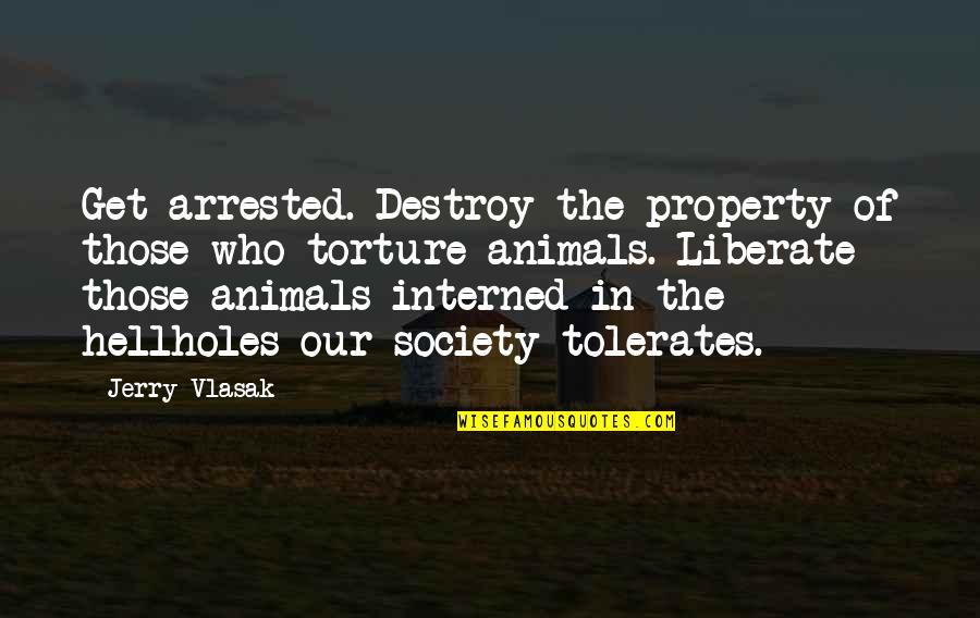 Lets Just End This Quotes By Jerry Vlasak: Get arrested. Destroy the property of those who
