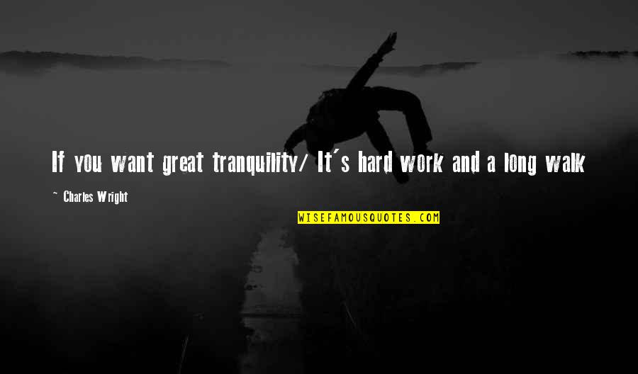 Let's Not Be Alone Tonight Quotes By Charles Wright: If you want great tranquility/ It's hard work