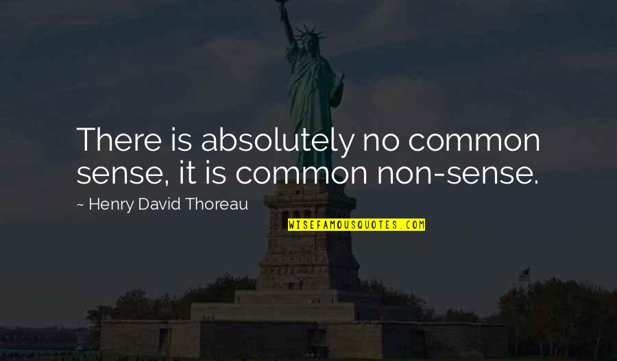 Let's Not Say Goodbye Quotes By Henry David Thoreau: There is absolutely no common sense, it is