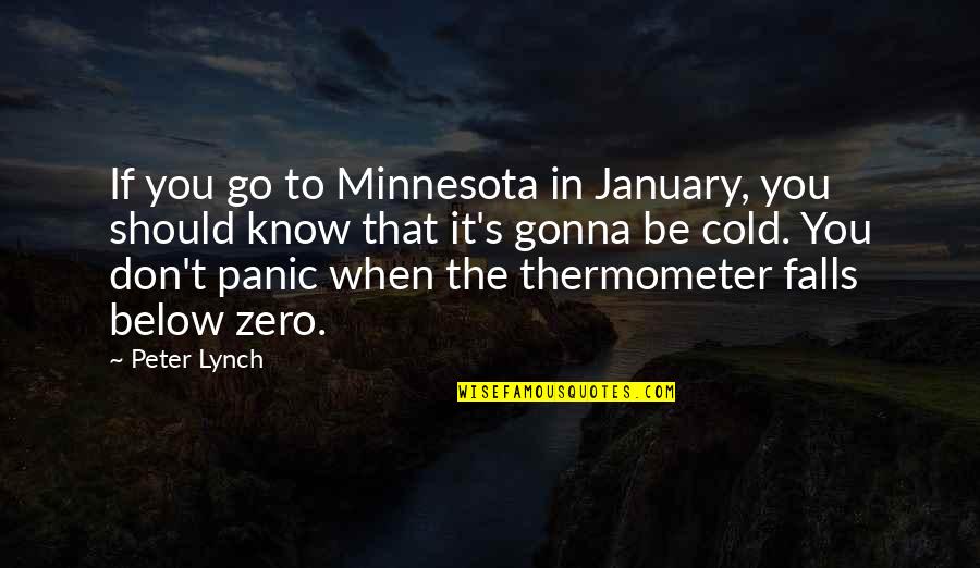 Let's Start A Relationship Quotes By Peter Lynch: If you go to Minnesota in January, you