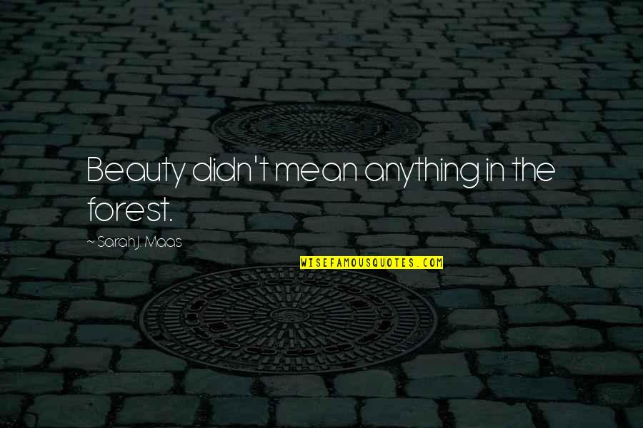 Let's Start New Year Quotes By Sarah J. Maas: Beauty didn't mean anything in the forest.