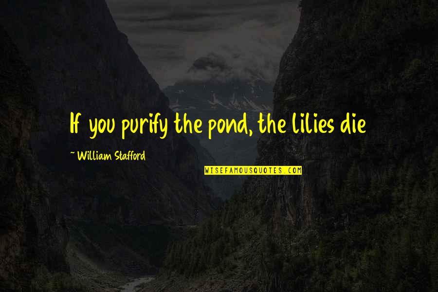 Let's Try Something New Quotes By William Stafford: If you purify the pond, the lilies die