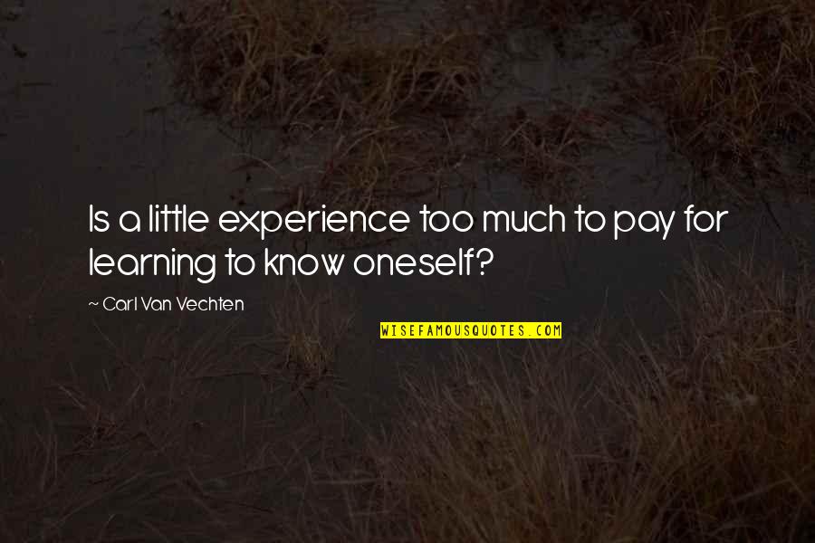 Lett Quotes By Carl Van Vechten: Is a little experience too much to pay