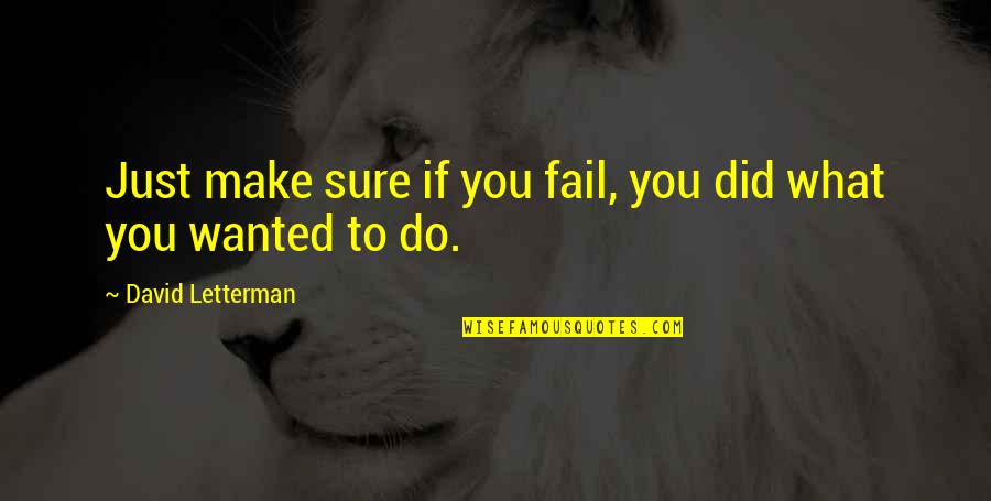 Letterman Quotes By David Letterman: Just make sure if you fail, you did