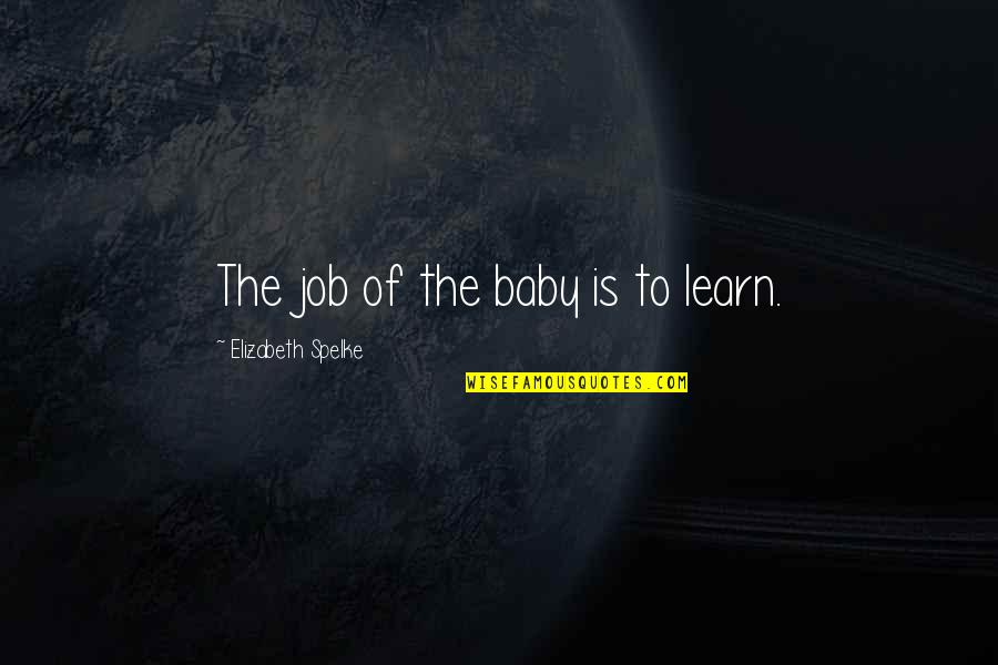 Letters Of Recommendation Quotes By Elizabeth Spelke: The job of the baby is to learn.