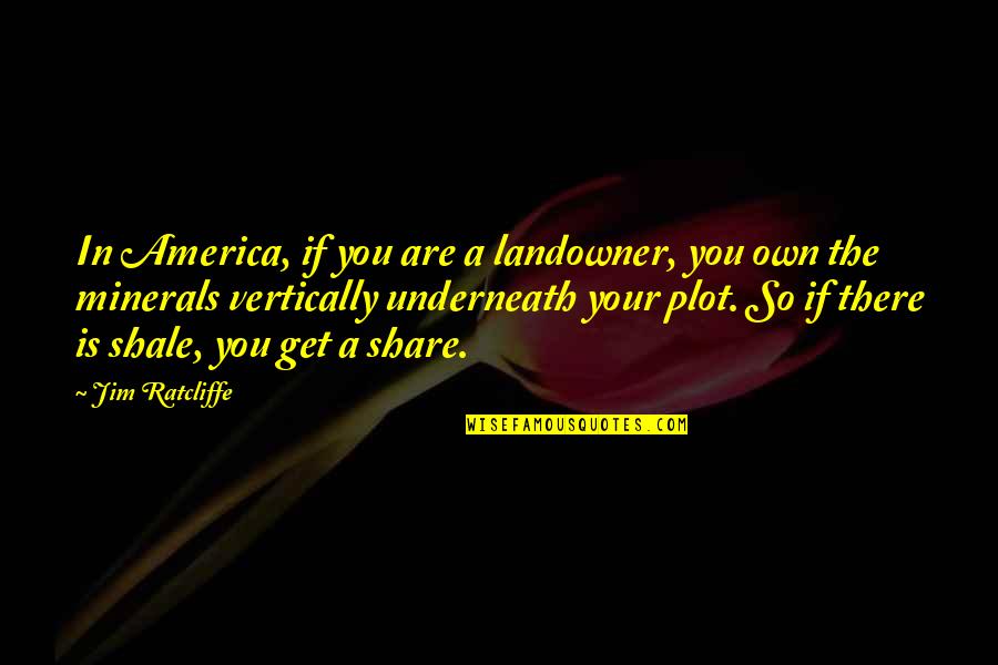 Letting Go Easily Quotes By Jim Ratcliffe: In America, if you are a landowner, you
