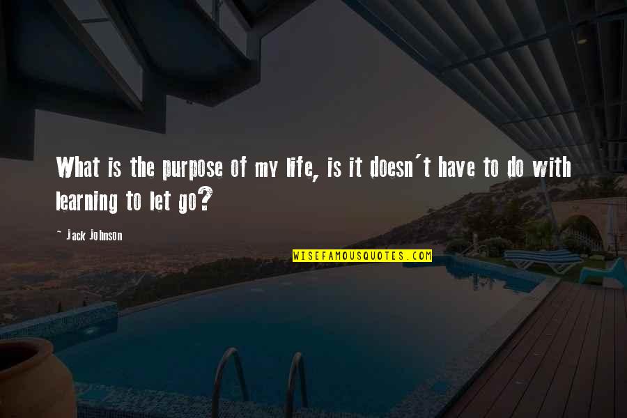 Letting Go Of Quotes By Jack Johnson: What is the purpose of my life, is