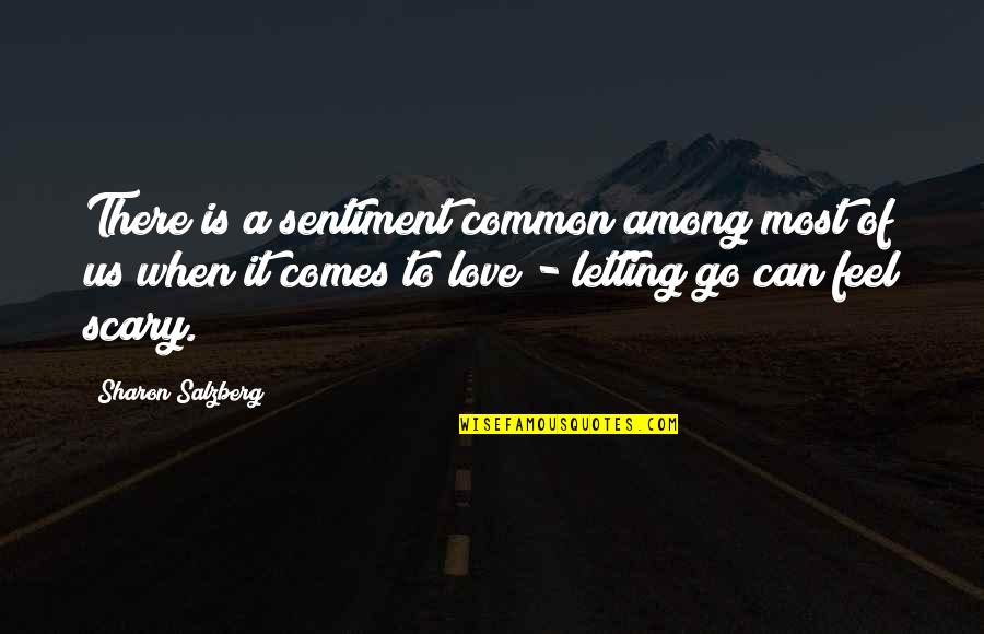 Letting Go Quotes Quotes By Sharon Salzberg: There is a sentiment common among most of