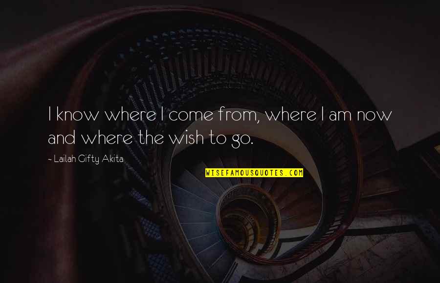 Letting Someone You Love Go Quotes By Lailah Gifty Akita: I know where I come from, where I