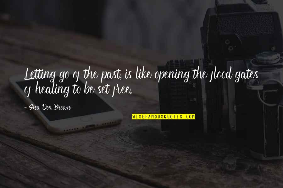 Letting The Past Be The Past Quotes By Asa Don Brown: Letting go of the past, is like opening