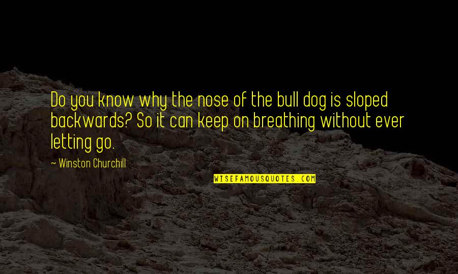 Letting Your Dog Go Quotes By Winston Churchill: Do you know why the nose of the