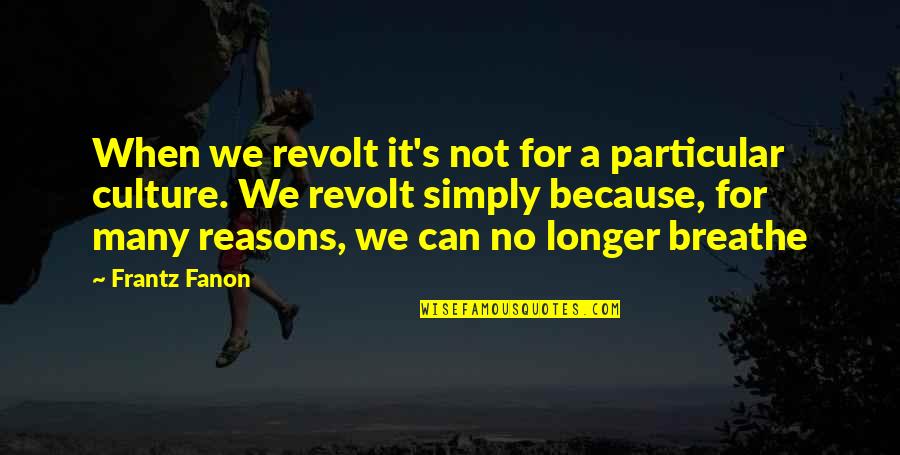 Lettres Cursives Quotes By Frantz Fanon: When we revolt it's not for a particular