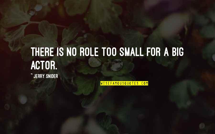 Lettuccio Quotes By Jerry Snider: There is no role too small for a Lettuccio Quotes By Jerry Snider: There is no role too small for a