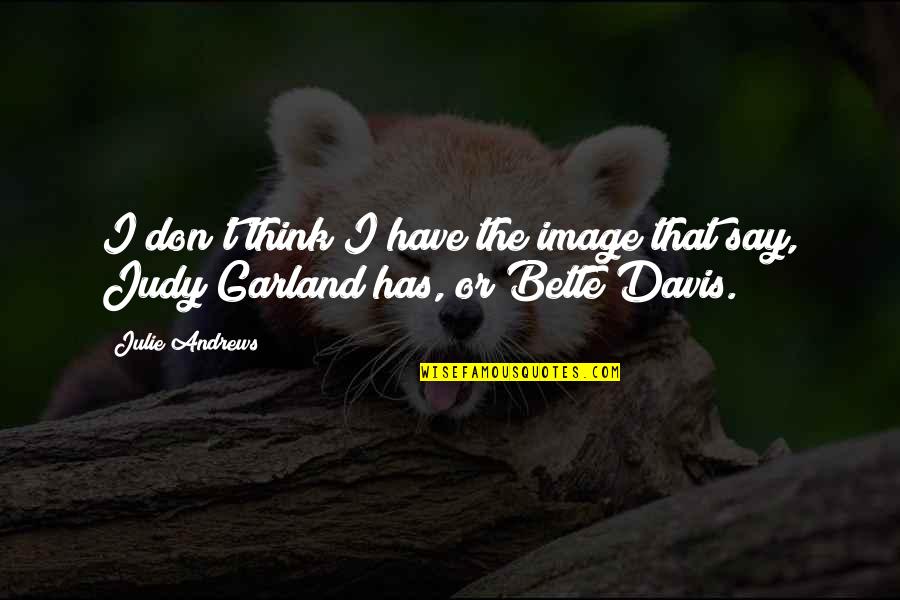 Lettuccio Quotes By Julie Andrews: I don't think I have the image that