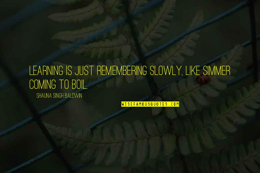 Leucotomy Quotes By Shauna Singh Baldwin: Learning is just remembering slowly, like simmer coming Leucotomy Quotes By Shauna Singh Baldwin: Learning is just remembering slowly, like simmer coming