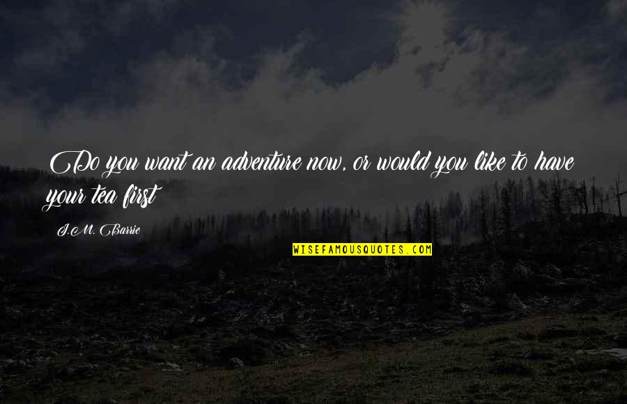 Leukemia Support Quotes By J.M. Barrie: Do you want an adventure now, or would