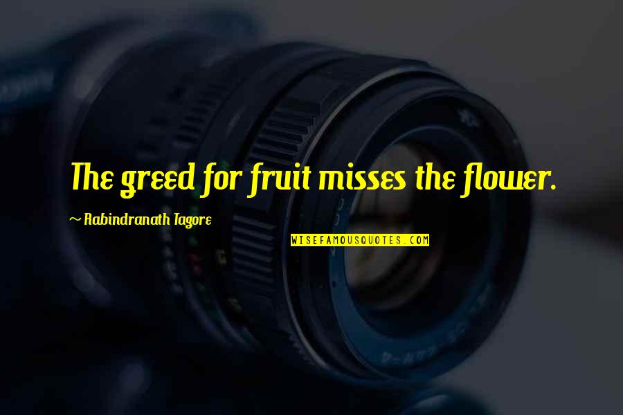 Leukemia Support Quotes By Rabindranath Tagore: The greed for fruit misses the flower.