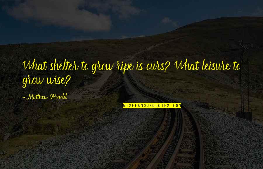 Leukostasis Quotes By Matthew Arnold: What shelter to grow ripe is ours? What Leukostasis Quotes By Matthew Arnold: What shelter to grow ripe is ours? What