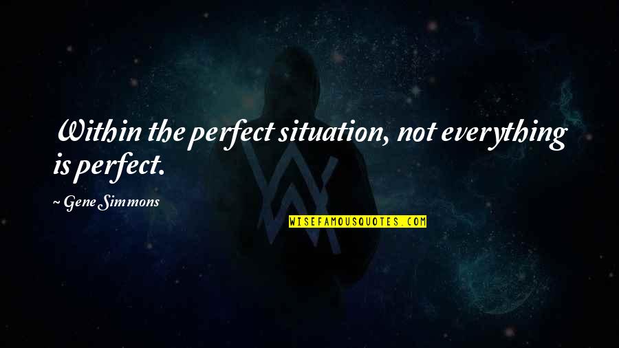 Leuveni Quotes By Gene Simmons: Within the perfect situation, not everything is perfect.