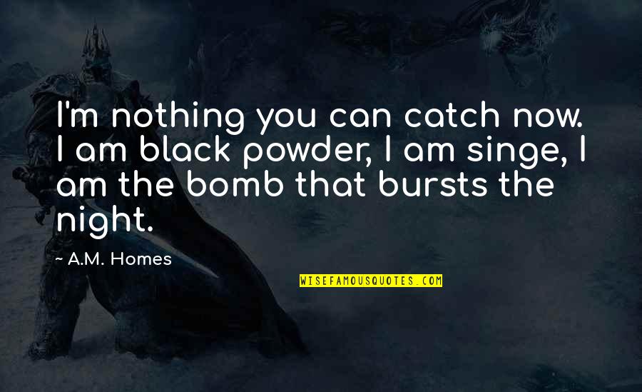 Leuzzi Concrete Quotes By A.M. Homes: I'm nothing you can catch now. I am Leuzzi Concrete Quotes By A.M. Homes: I'm nothing you can catch now. I am