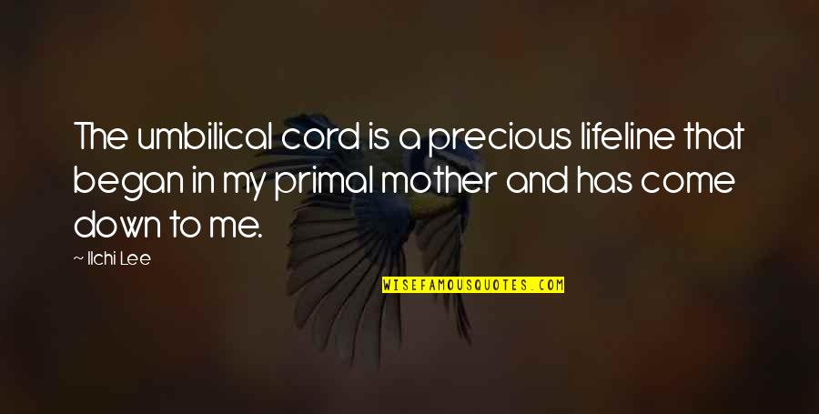 Levack And Goz Quotes By Ilchi Lee: The umbilical cord is a precious lifeline that Levack And Goz Quotes By Ilchi Lee: The umbilical cord is a precious lifeline that