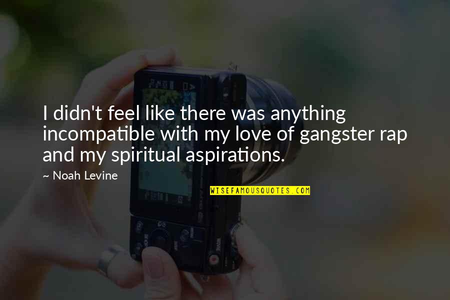 Levantados Do Ch O Quotes By Noah Levine: I didn't feel like there was anything incompatible Levantados Do Ch O Quotes By Noah Levine: I didn't feel like there was anything incompatible