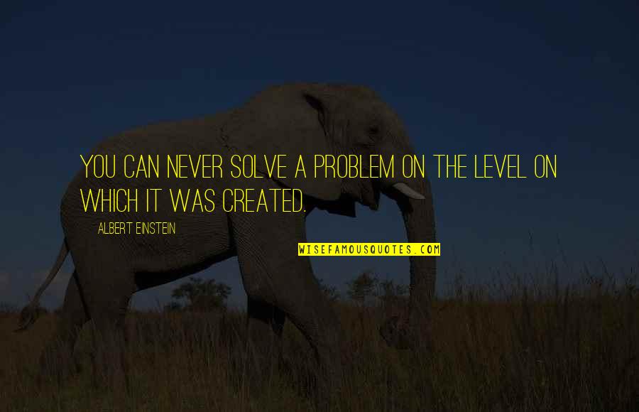 Level Was Quotes By Albert Einstein: You can never solve a problem on the