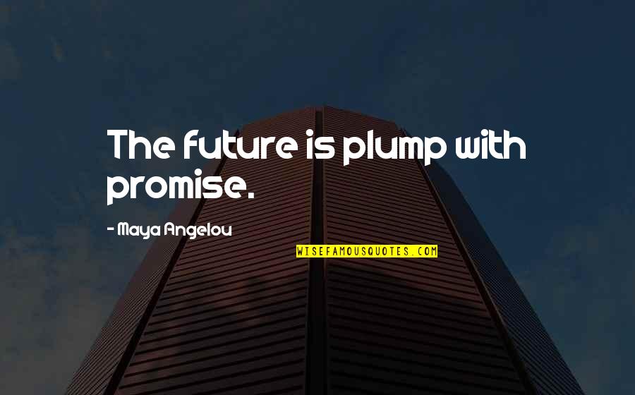 Leveller Quotes By Maya Angelou: The future is plump with promise.