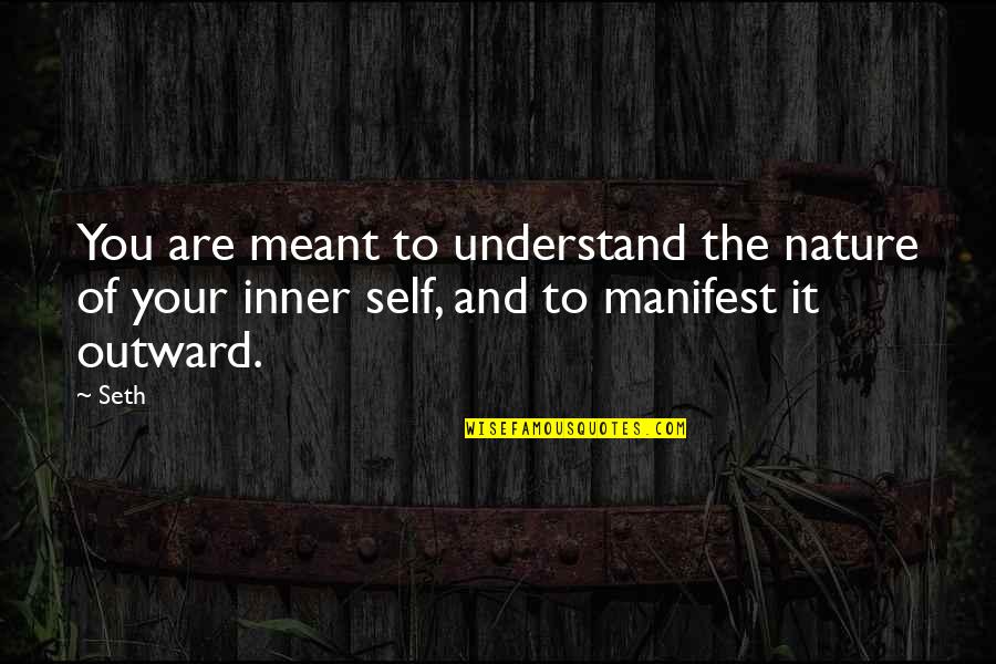 Levende Visjes Quotes By Seth: You are meant to understand the nature of