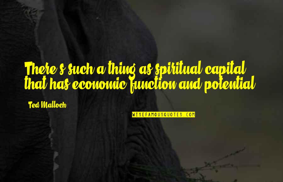 Levendoski Quotes By Ted Malloch: There's such a thing as spiritual capital that