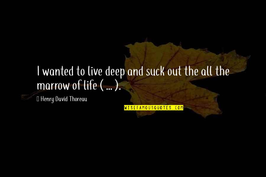 Levenes Test Quotes By Henry David Thoreau: I wanted to live deep and suck out