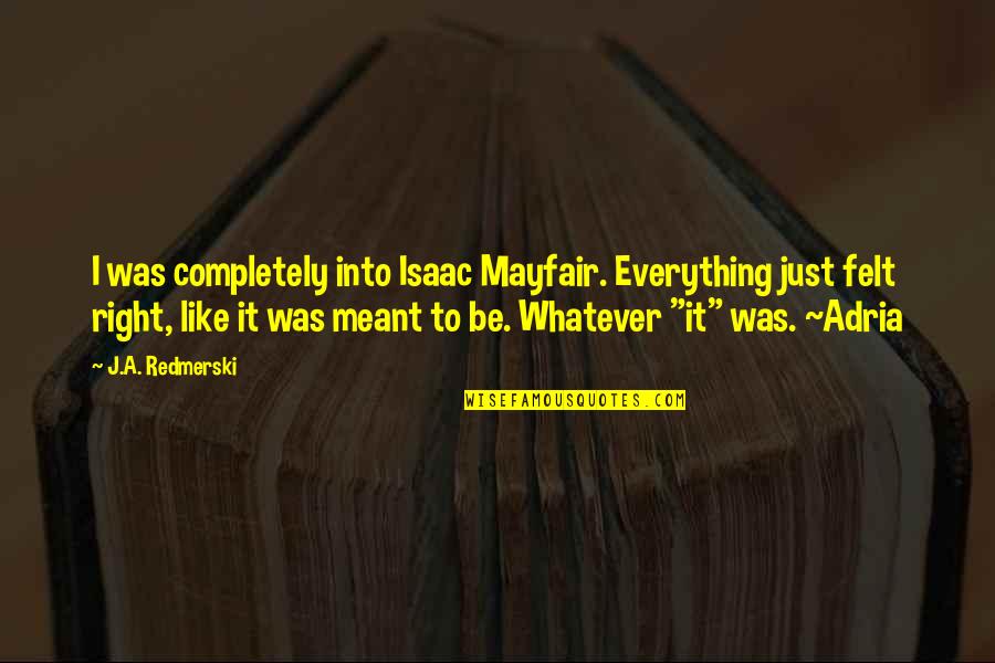 Levensverhaal Van Quotes By J.A. Redmerski: I was completely into Isaac Mayfair. Everything just